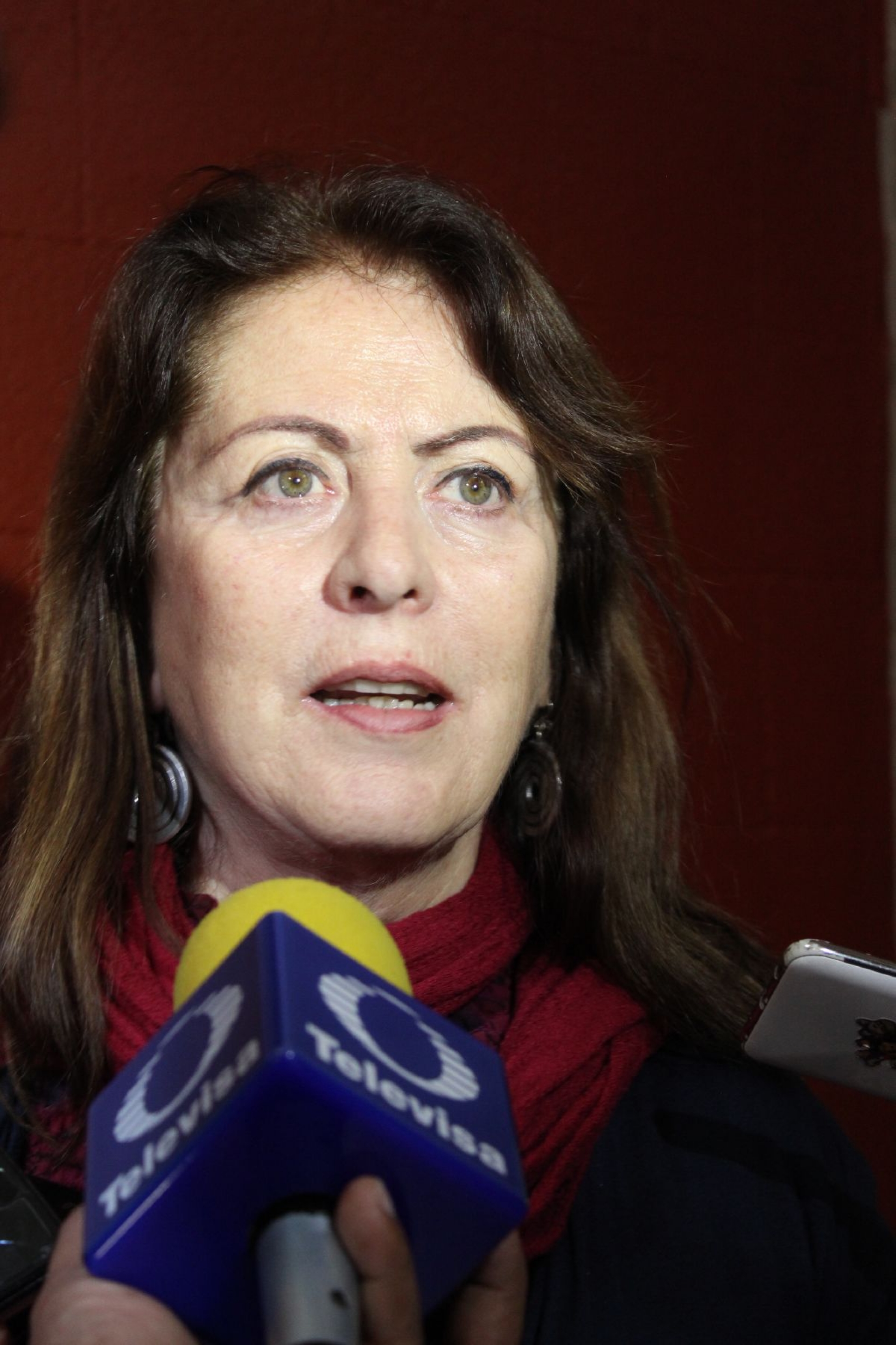 Buscan apoyo federal para proyectos culturales