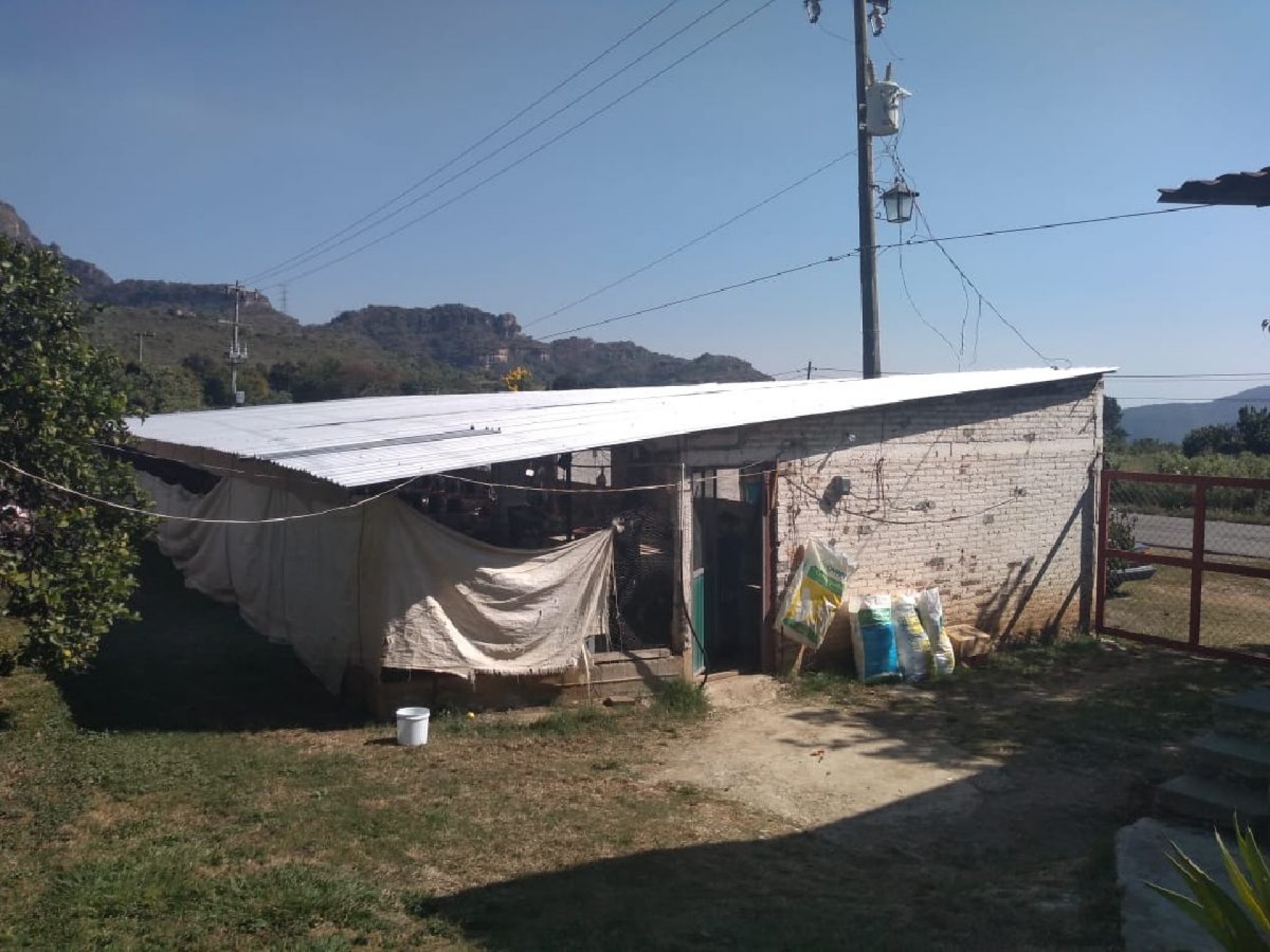 Se registra robo en una granja de San Andrés de la Cal