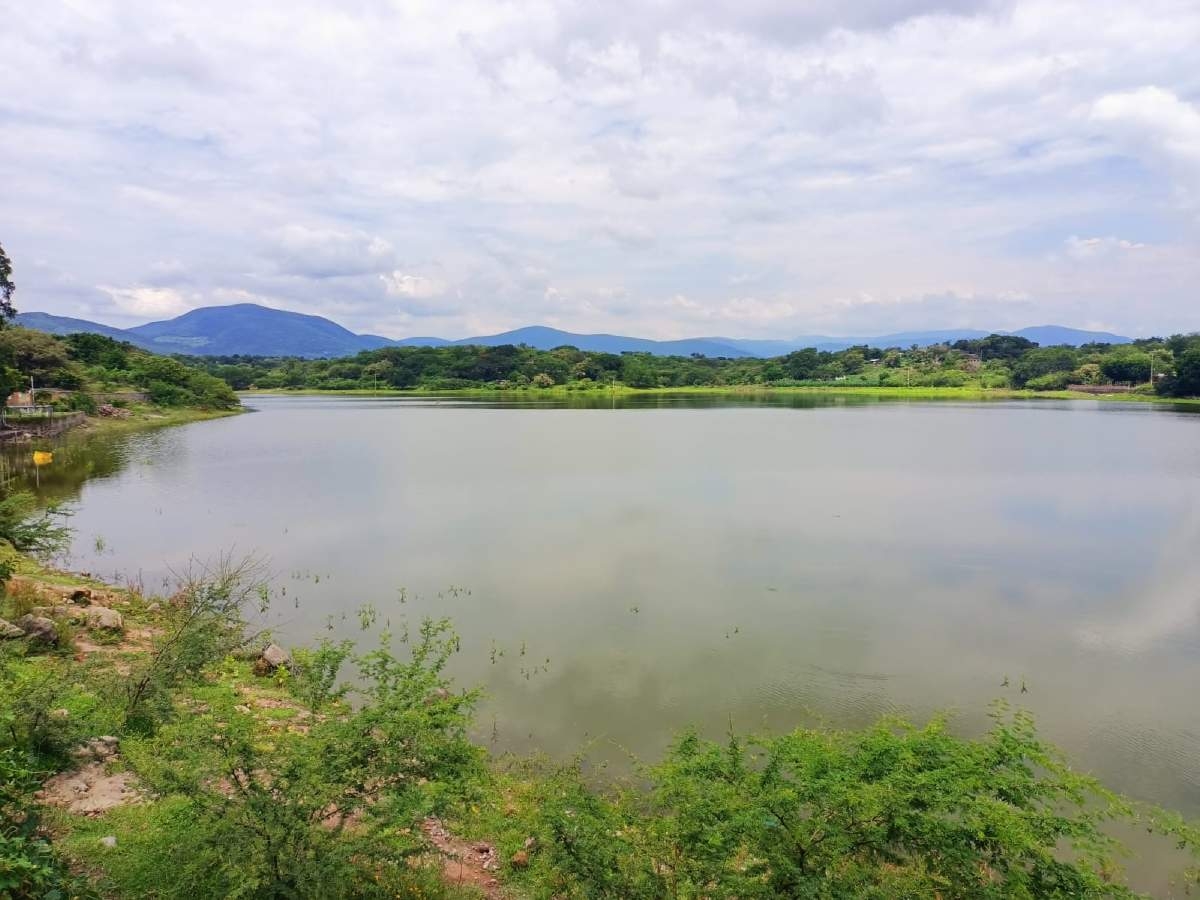 Presa de Contlalco, invadida de pez “limpiavidrios”