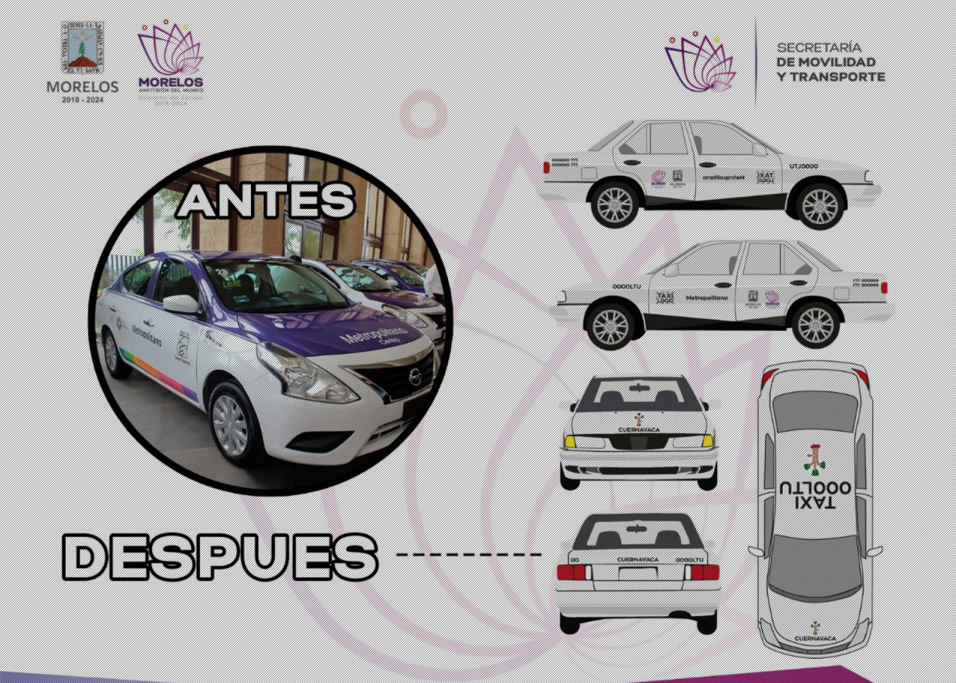 Anuncia SMyT nuevos colores de identificación en el transporte público
