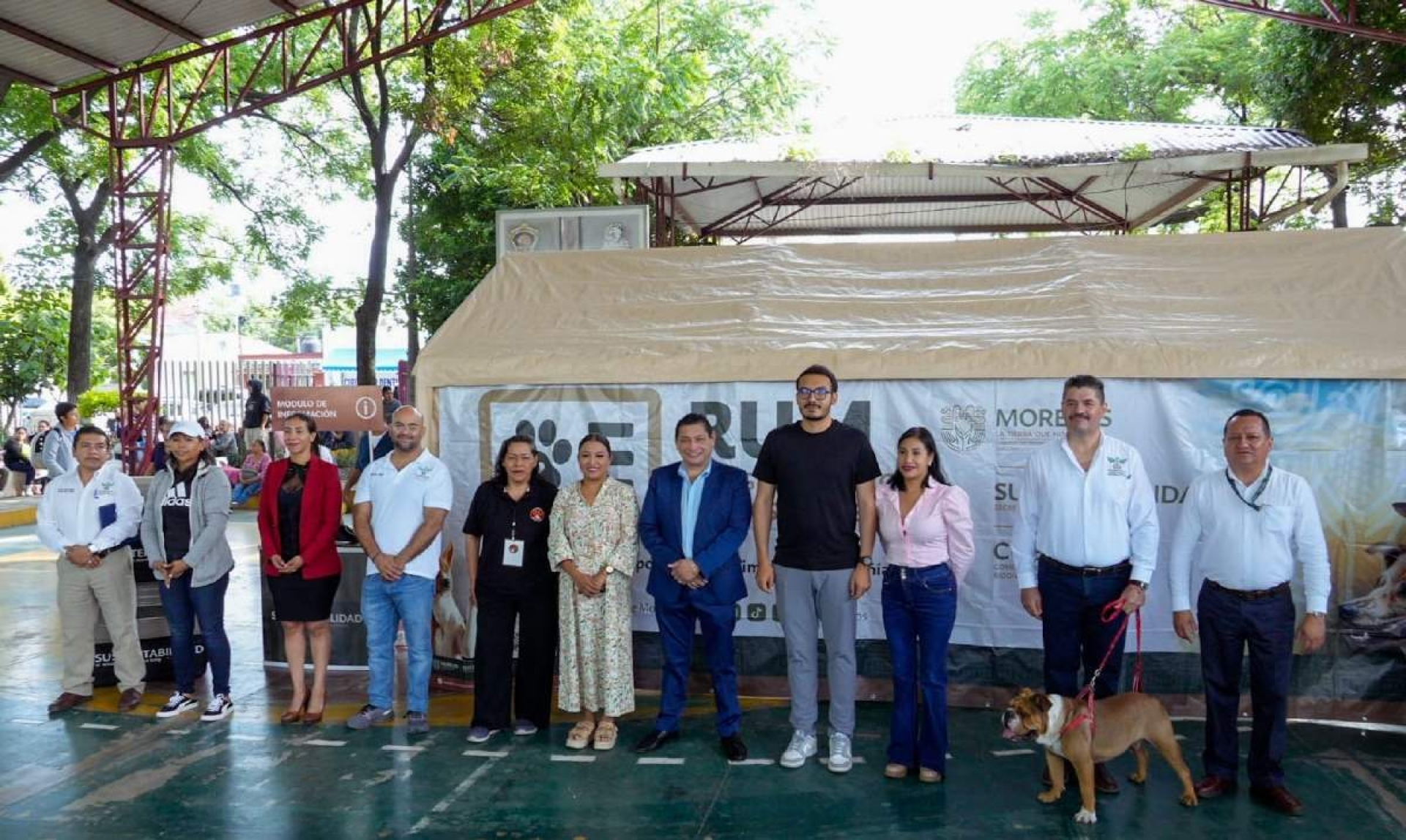 Realizan 17ª Jornada de Esterilización Canina y Felina en Cuautla
