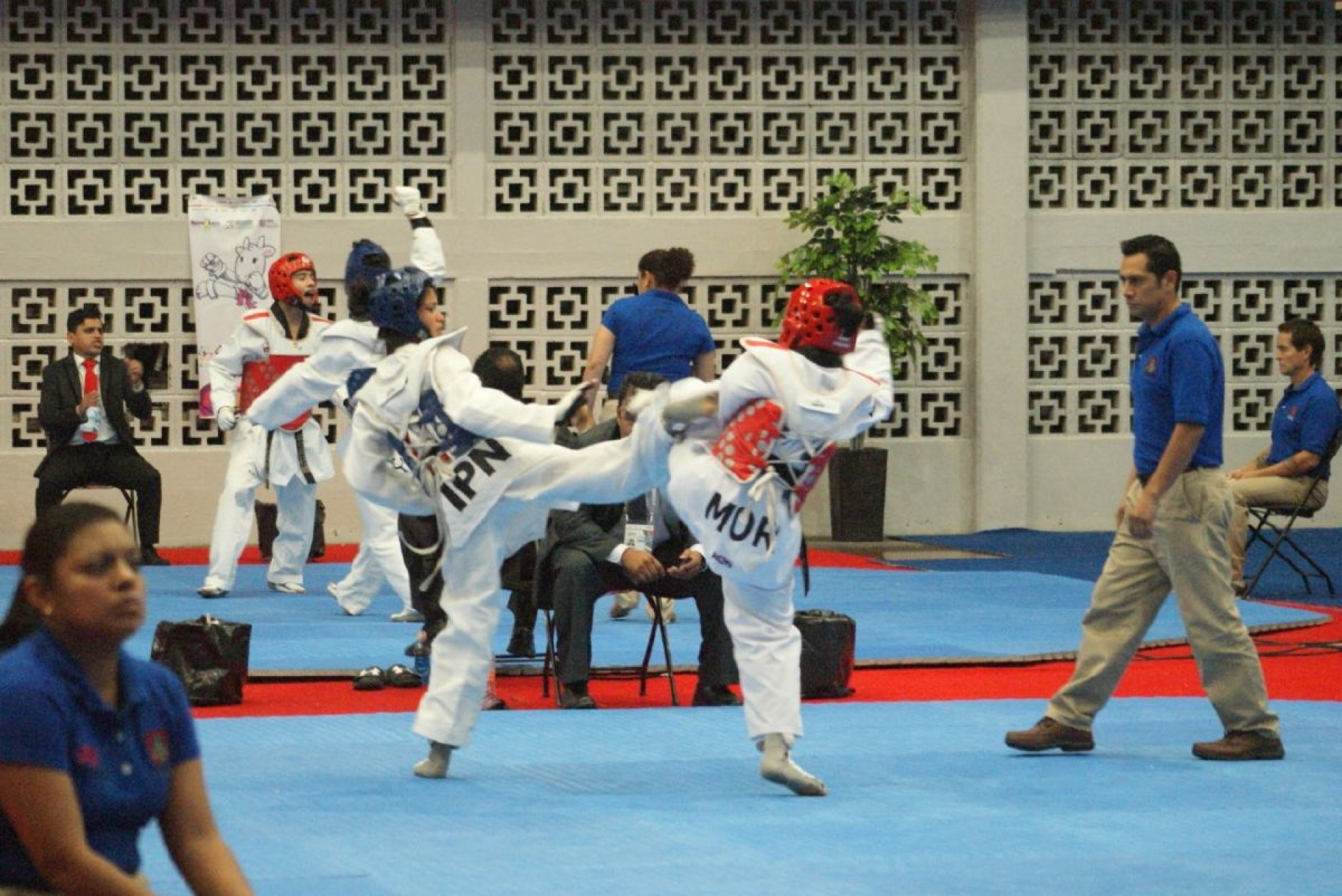 Taekwondoínes, listos para Chihuahua