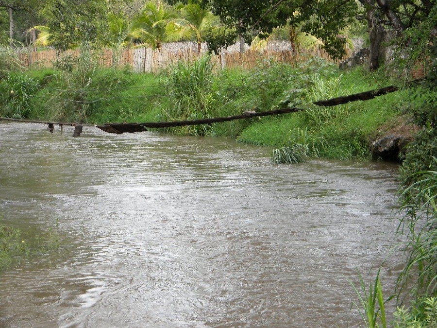 Altos índices de contaminación en el río Chalma afectan cultivos del ejido La Vega de Mazatepec