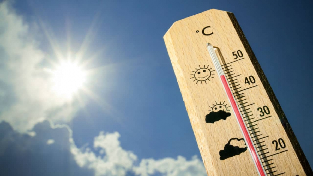 Ola de calor en Canadá deja más de 100 muertos en cuatro días