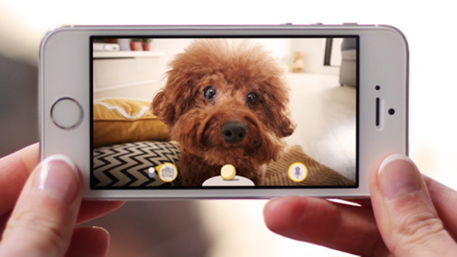 Furbo: la cámara que te permite interactuar con tu perro a distancia