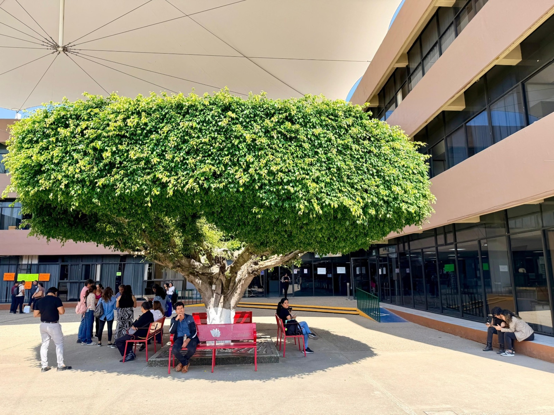 Garantiza Educación continuidad del servicio educativo en Morelos