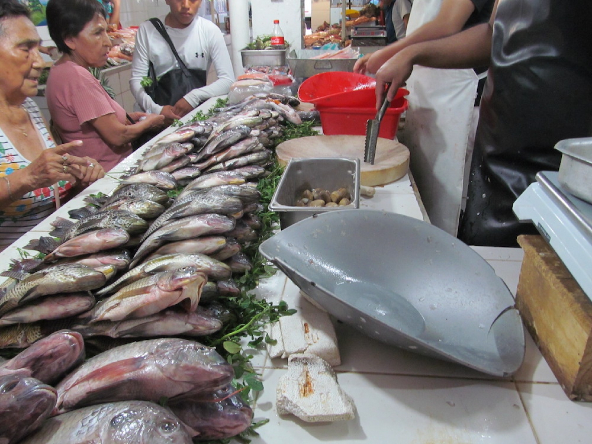 Reportan bajas ventas de pescados y mariscos en Jojutla