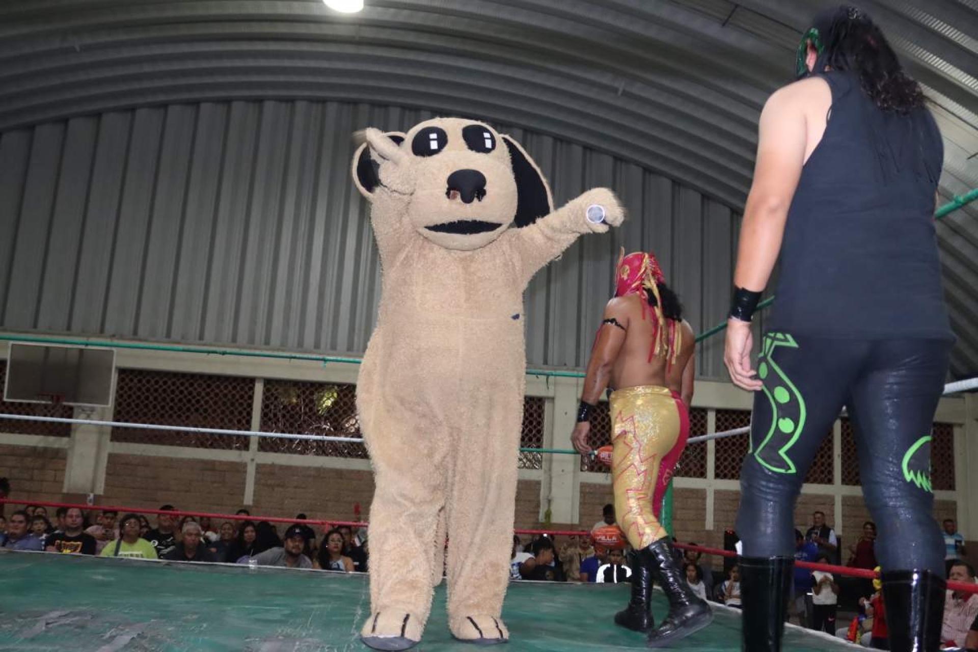 ¡Regresa hoy Wisin El Dog!