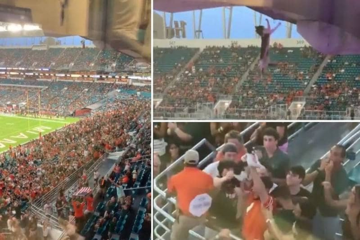 ¡Michi se roba show! Aficionados lo salvan de una caída mortal