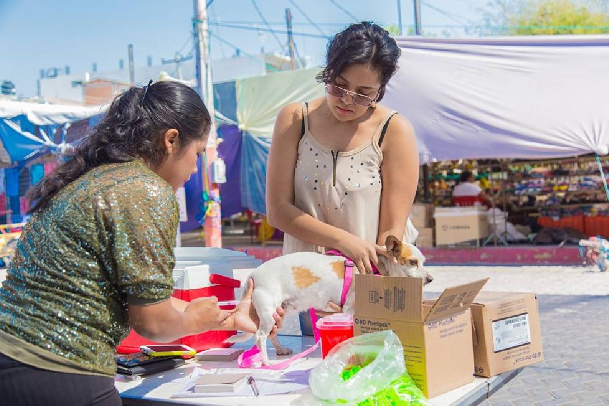 En Axochiapan, se implementa campaña de vacunación antirrábica