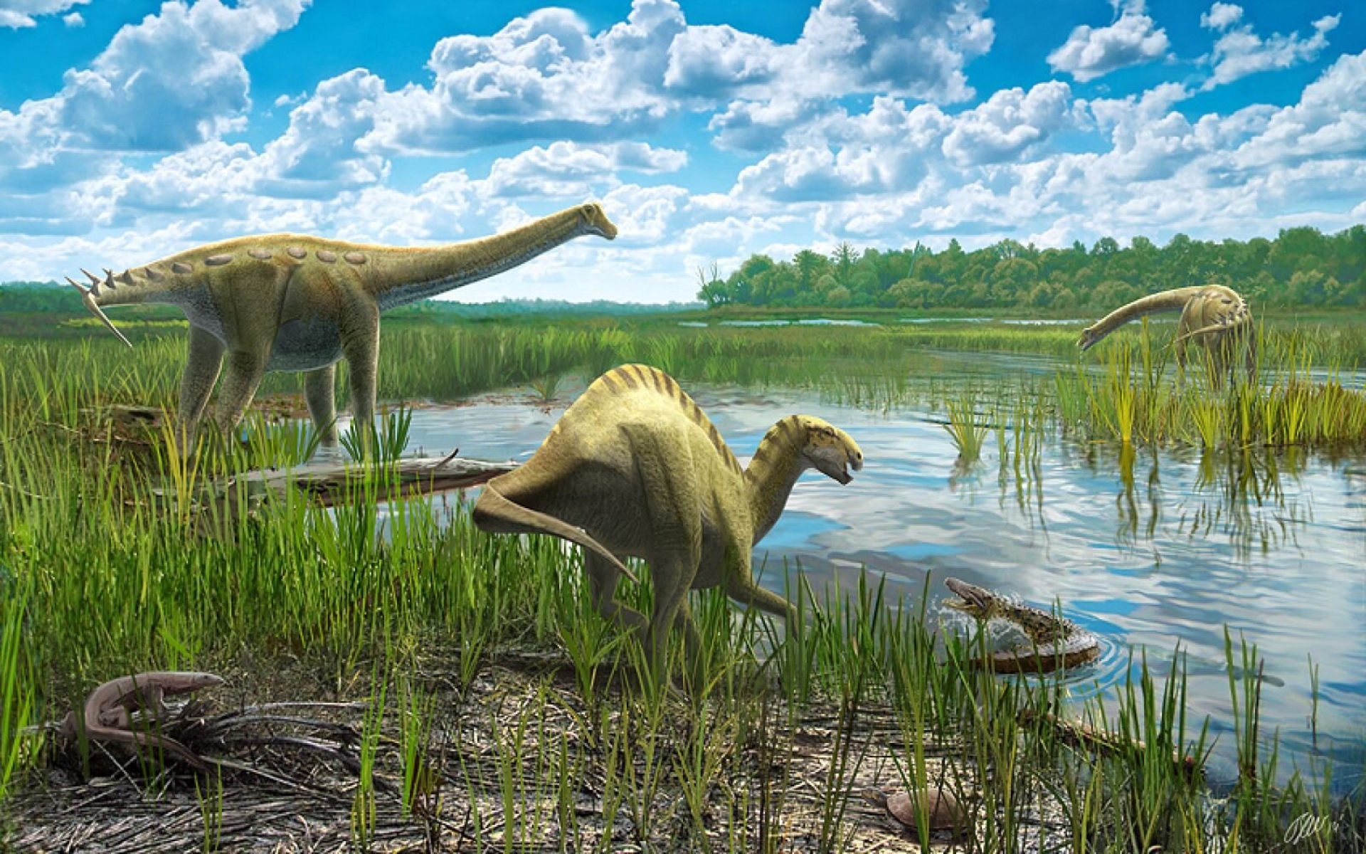 Descubren nuevas plantas fósiles que revelan ecosistemas costeros del Cretácico