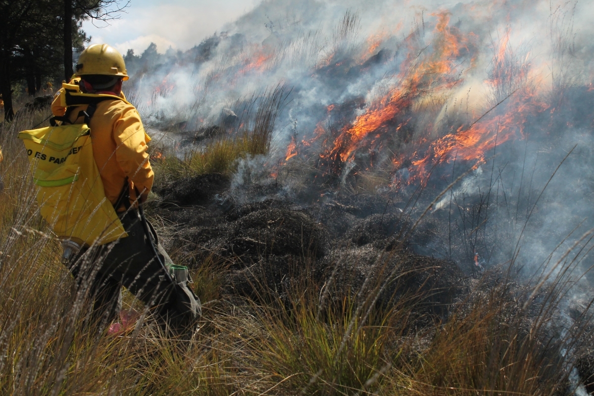 Registran 26 incendios forestales en este año