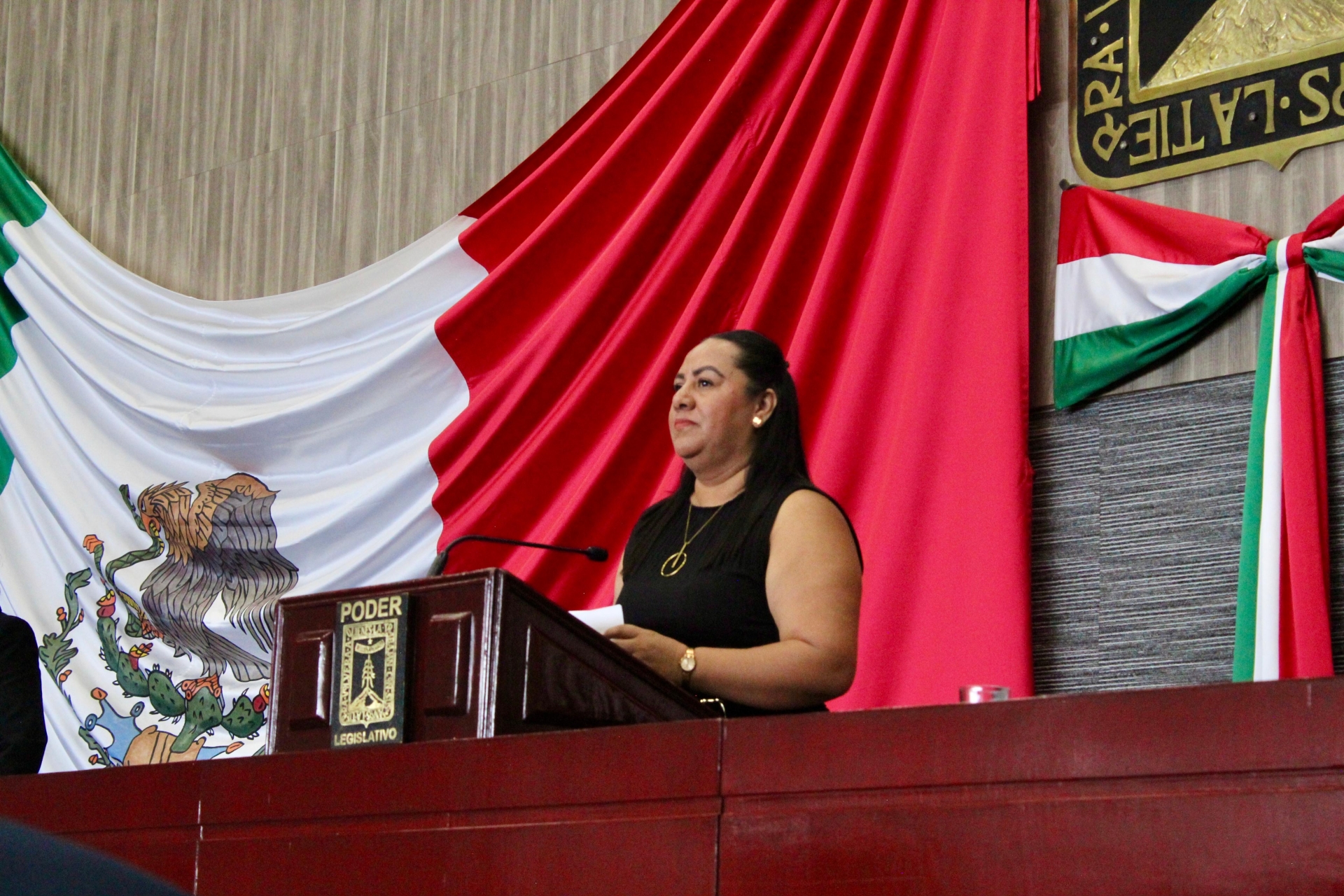 Diputada Jazmín Solano López propone tipificar la violencia vicaria en la legislación federal