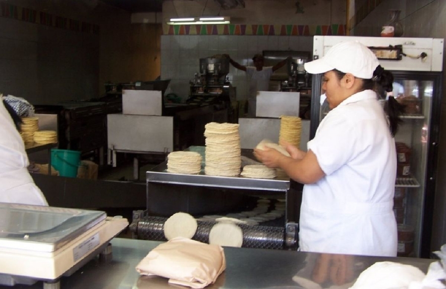 Sin aumento, el precio de la tortilla en el oriente