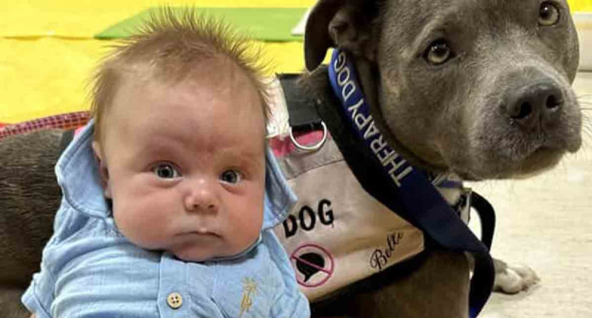 Perrita Belle se convierte en la primera 'partera canina' tras ayudar en un parto