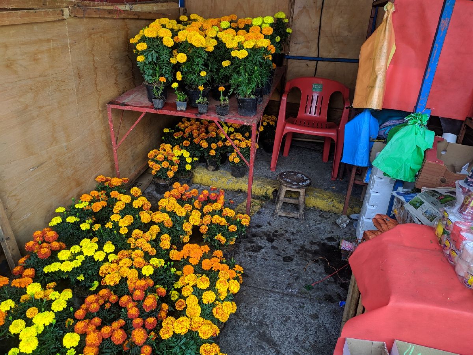 “Por los suelos”, venta de flores y veladoras: comerciante