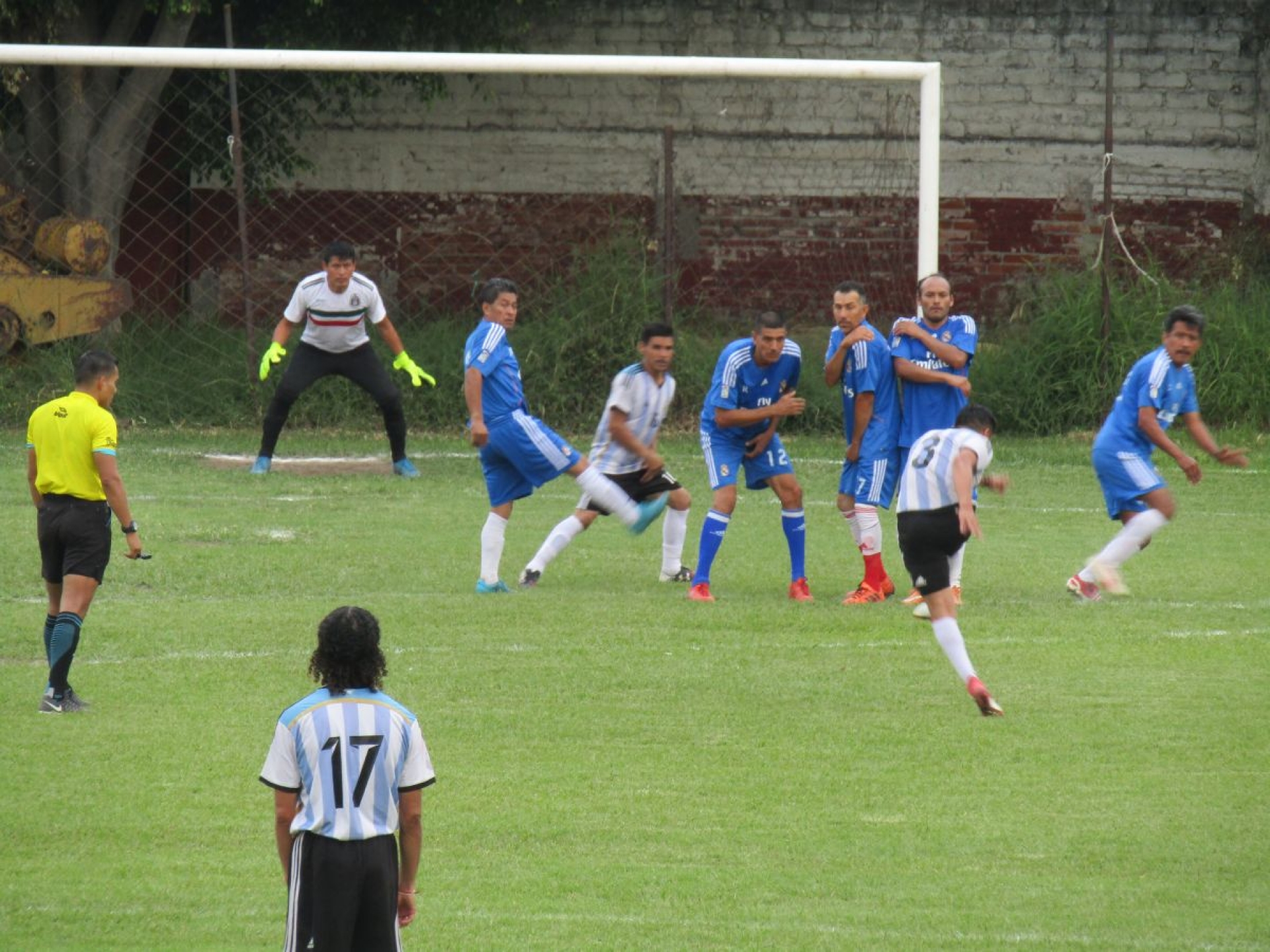 Palomas, imparable