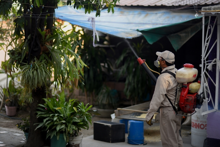 Morelos está protegido contra el dengue, chikungunya y zika: SSM
