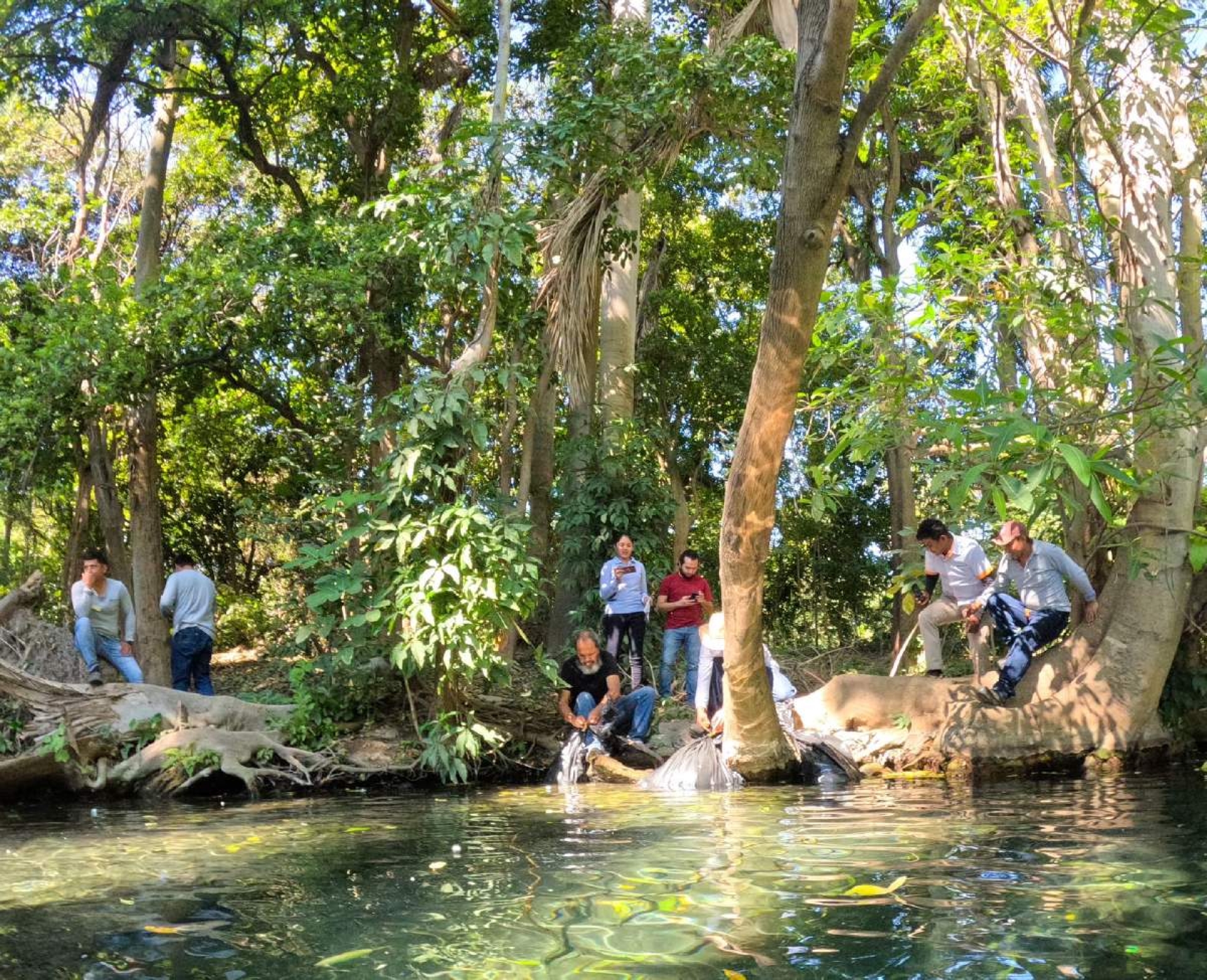 Reintroducen el bagre en el manantial de Las Estacas