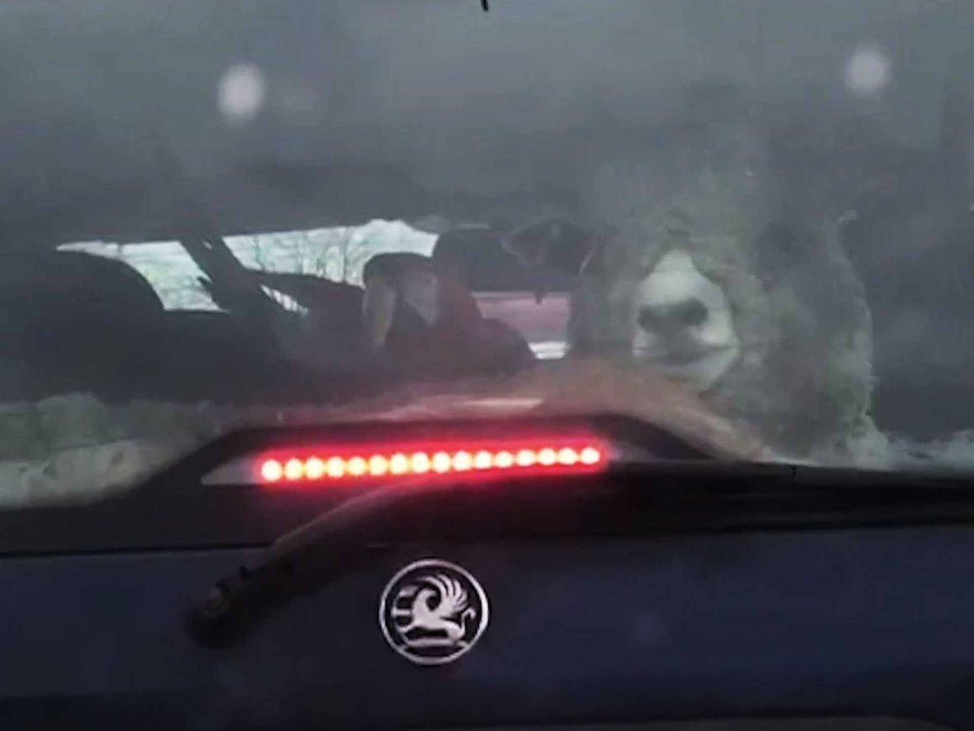 VIDEO: Todo cabe en un jarrito...