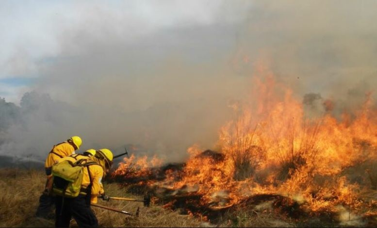 ONU estima que en 2050 habrá 30% más incendios forestales