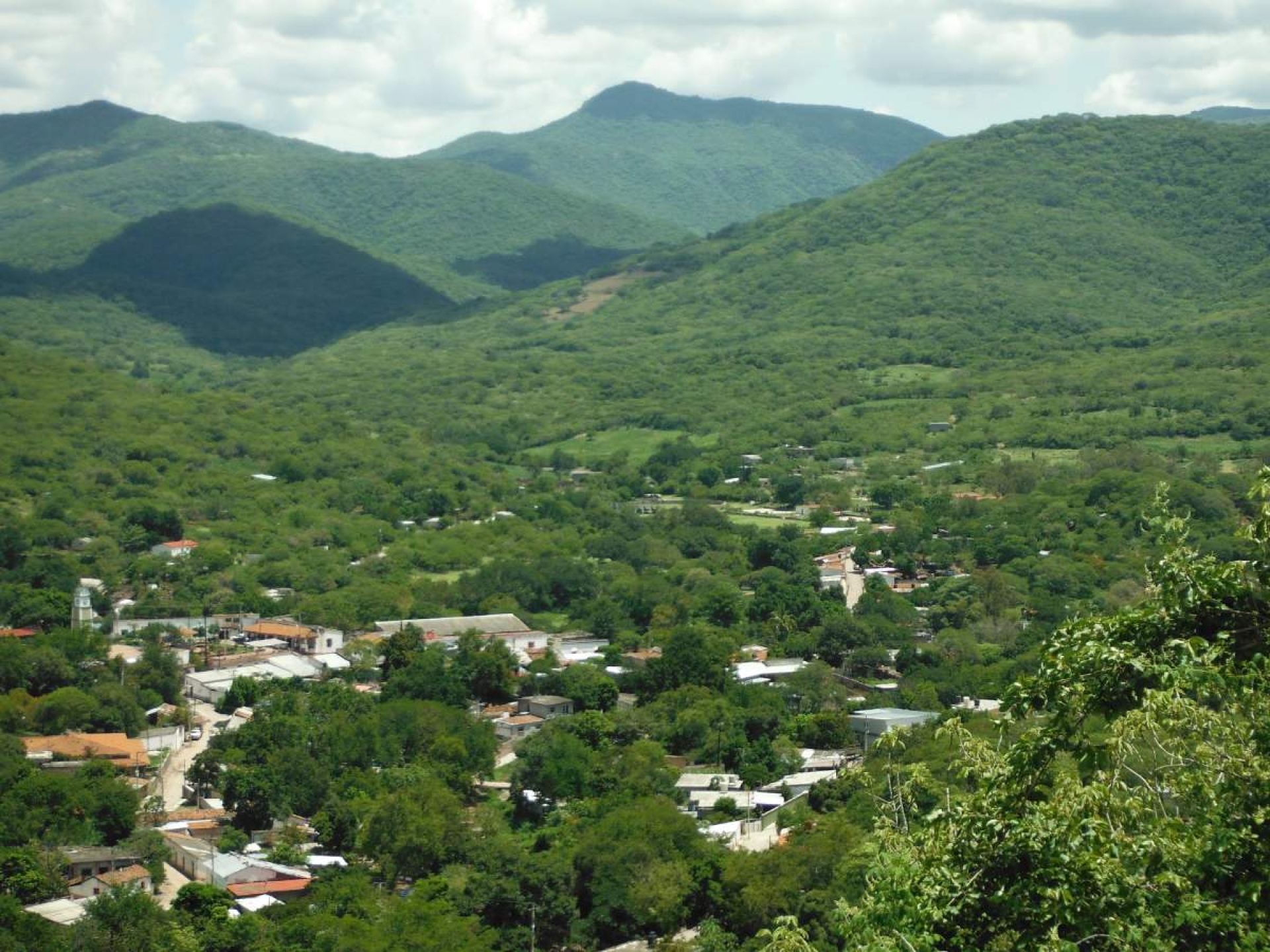 Preocupa contaminación en zona de biósfera de la Sierra de Huautla