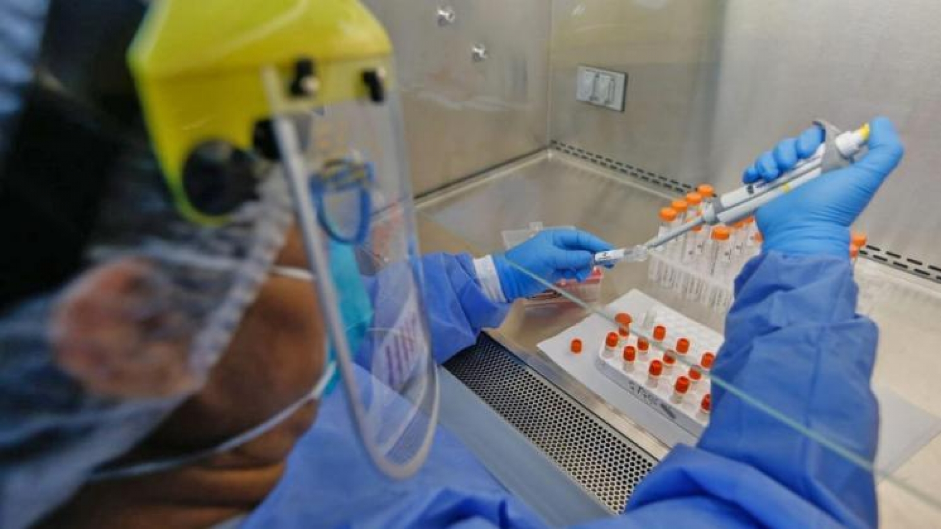 Estudio que analizó 166.000 genomas apoya idea del supercontagio como impulsor de la pandemia