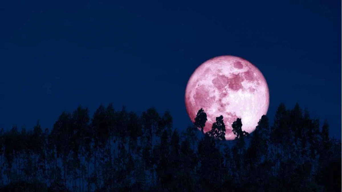 Luna de Fresa 2021: ¿Cómo ver este fenómeno astronómico en México?