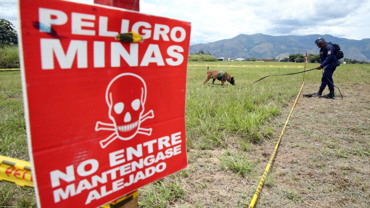 Venezuela pide ayuda a ONU para desactivar campos minados en frontera con Colombia