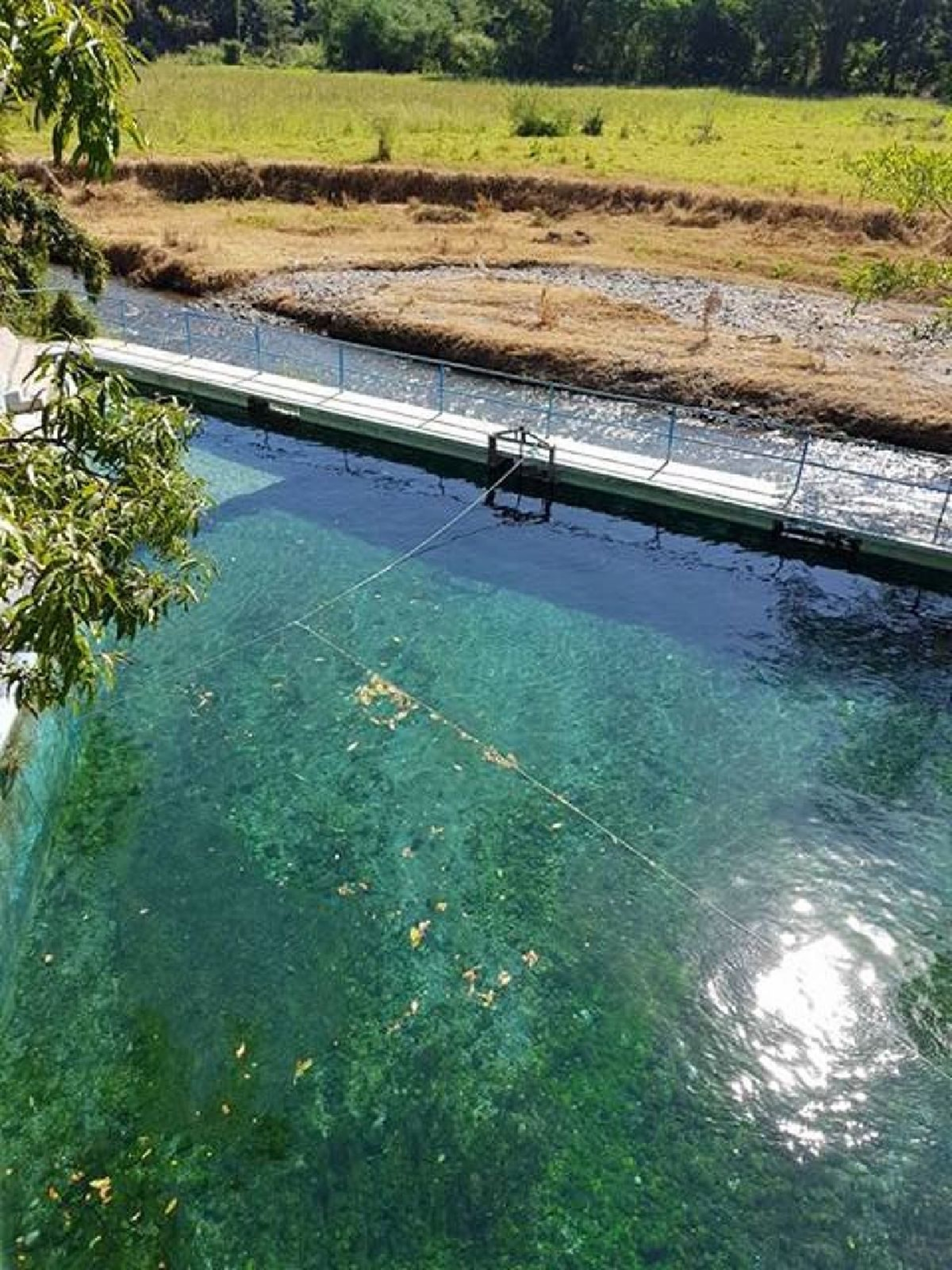 Peligran los cultivos por disminución del manantial Los Ojos de Agua de Cuauchichinola: agricultores