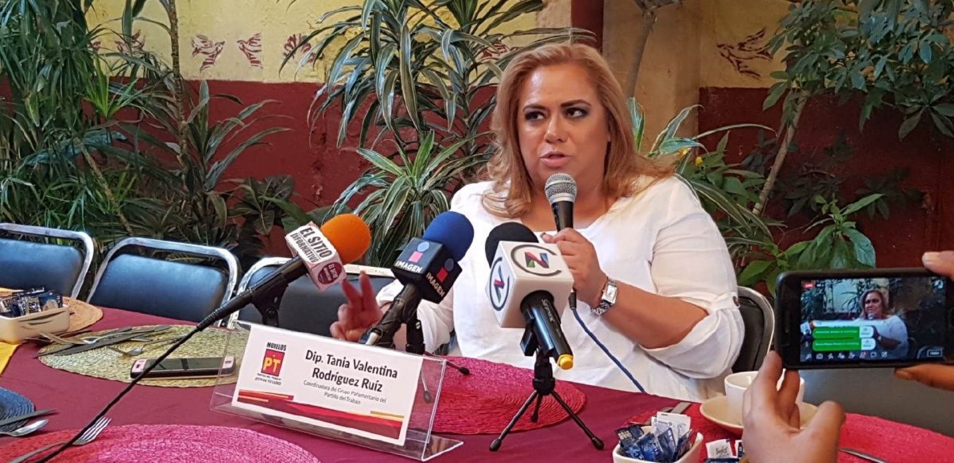 Confirma diputada derogación de al menos 24 “pensiones doradas”