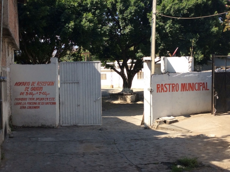 Reabren el rastro municipal de Puente de Ixtla
