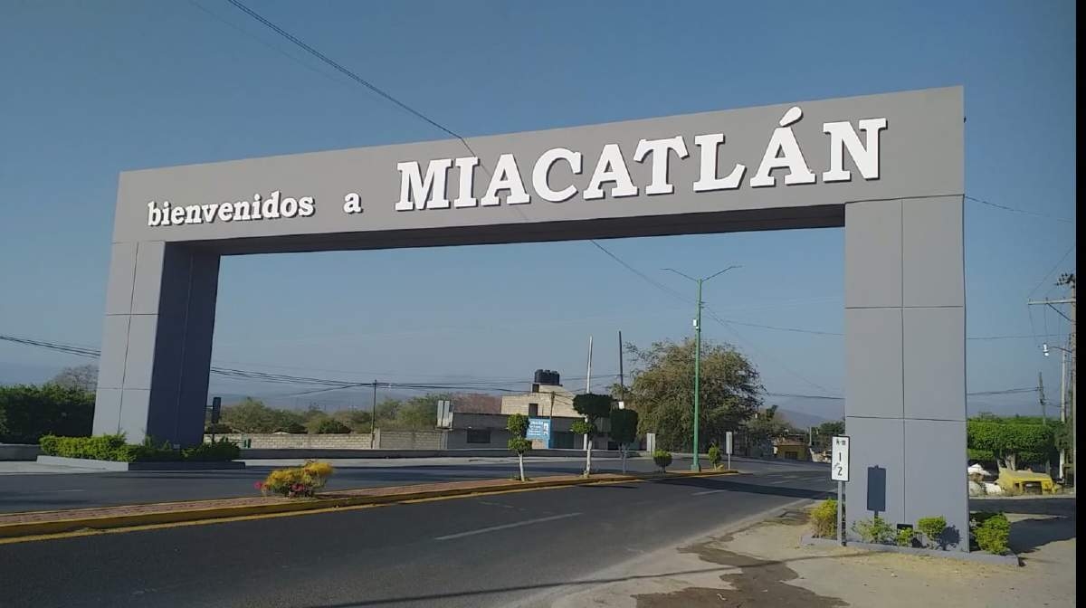 Quieren hacer una ruta del agave en el corredor poniente
