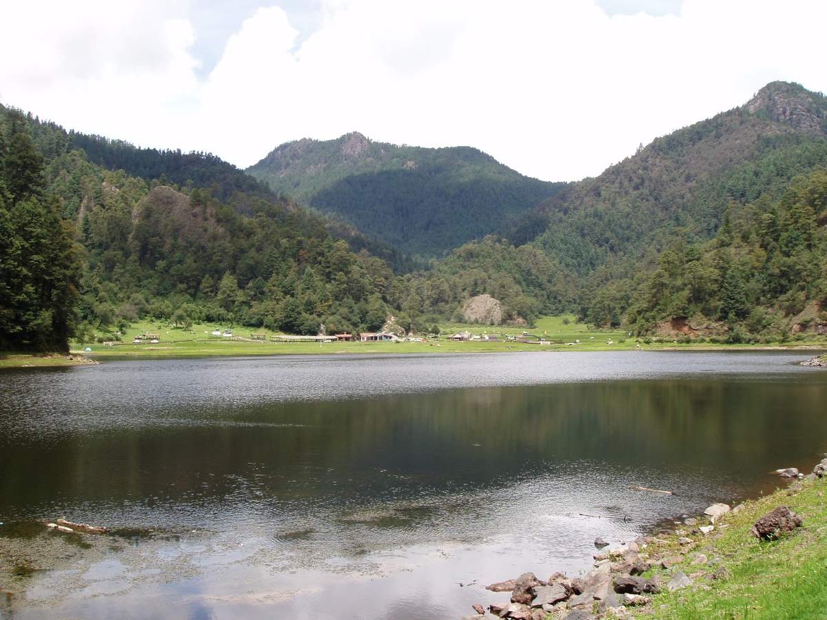Detectan 26 especies de microalgas en un cuerpo de agua del parque Lagunas de Zempoala
