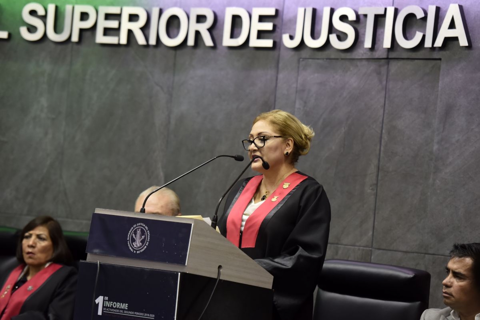 El TSJ se queja por mayoría de 13 diputados