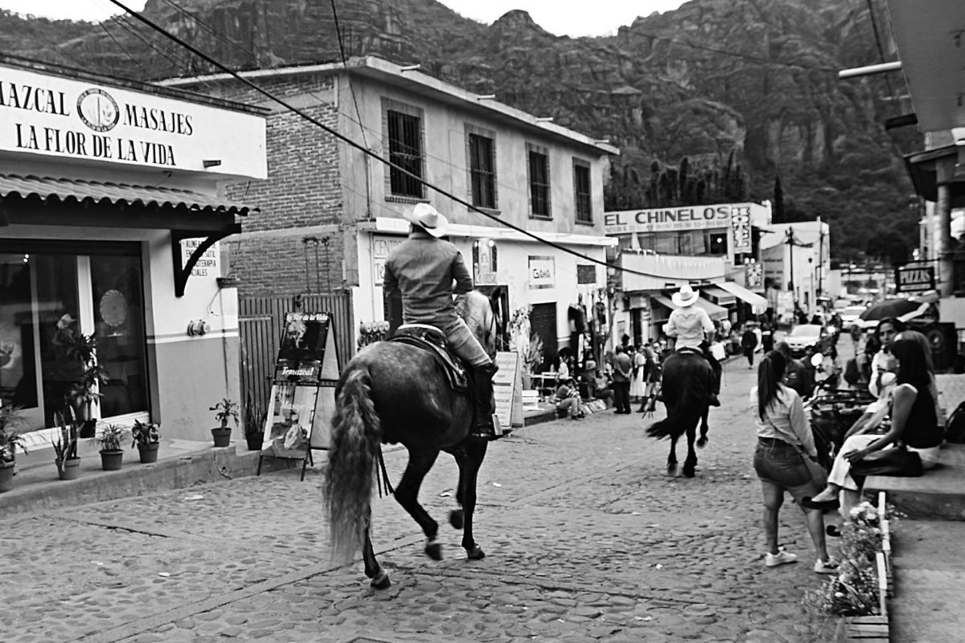 Las casitas de algodón silvestre