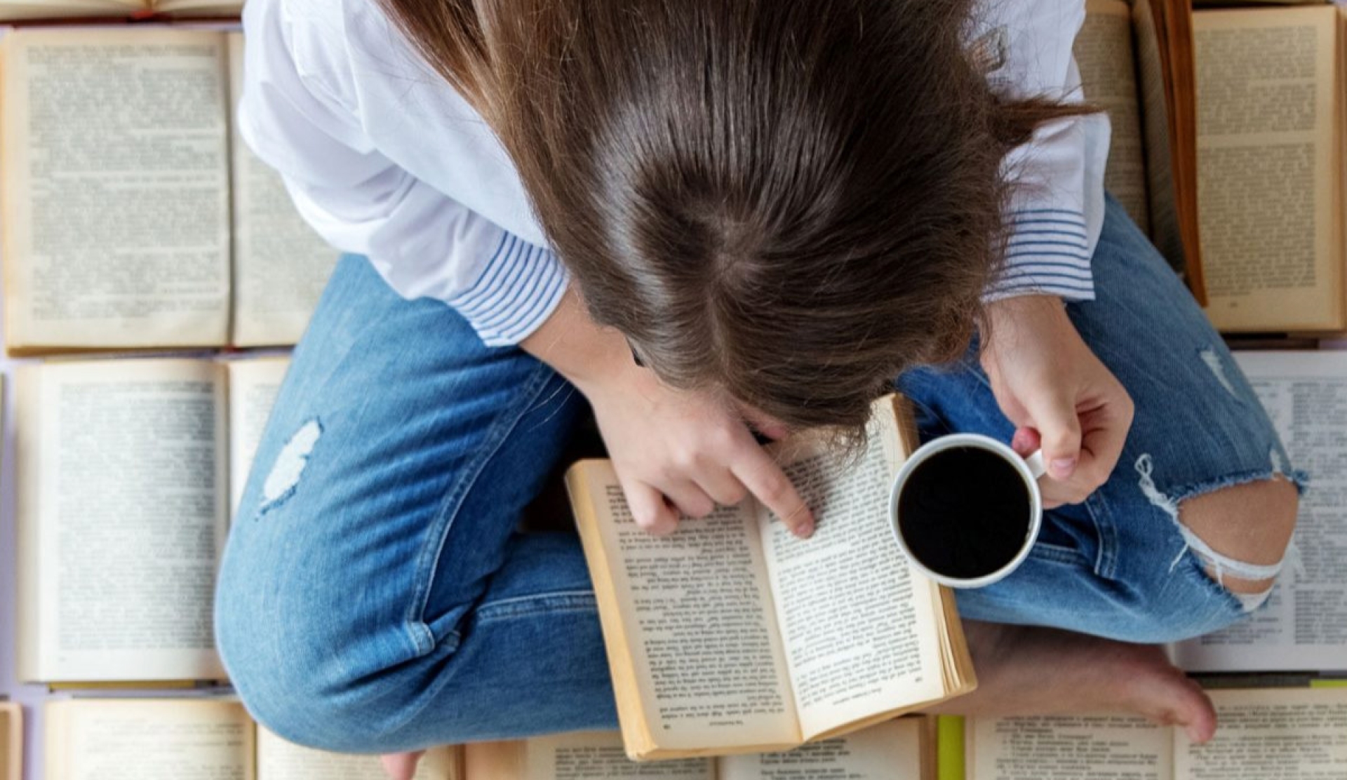 Libros recomendados de la semana: filosofía, ciencia, memoria y medioambiente