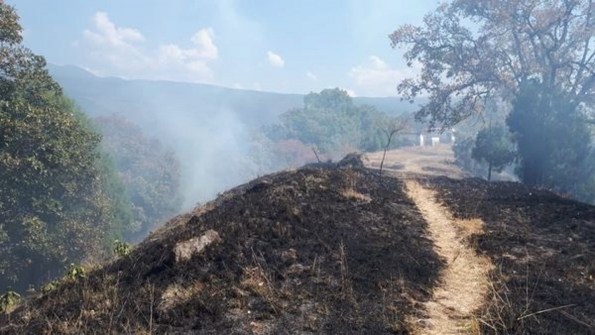 Apagan incendio ocurrido en La Herradura
