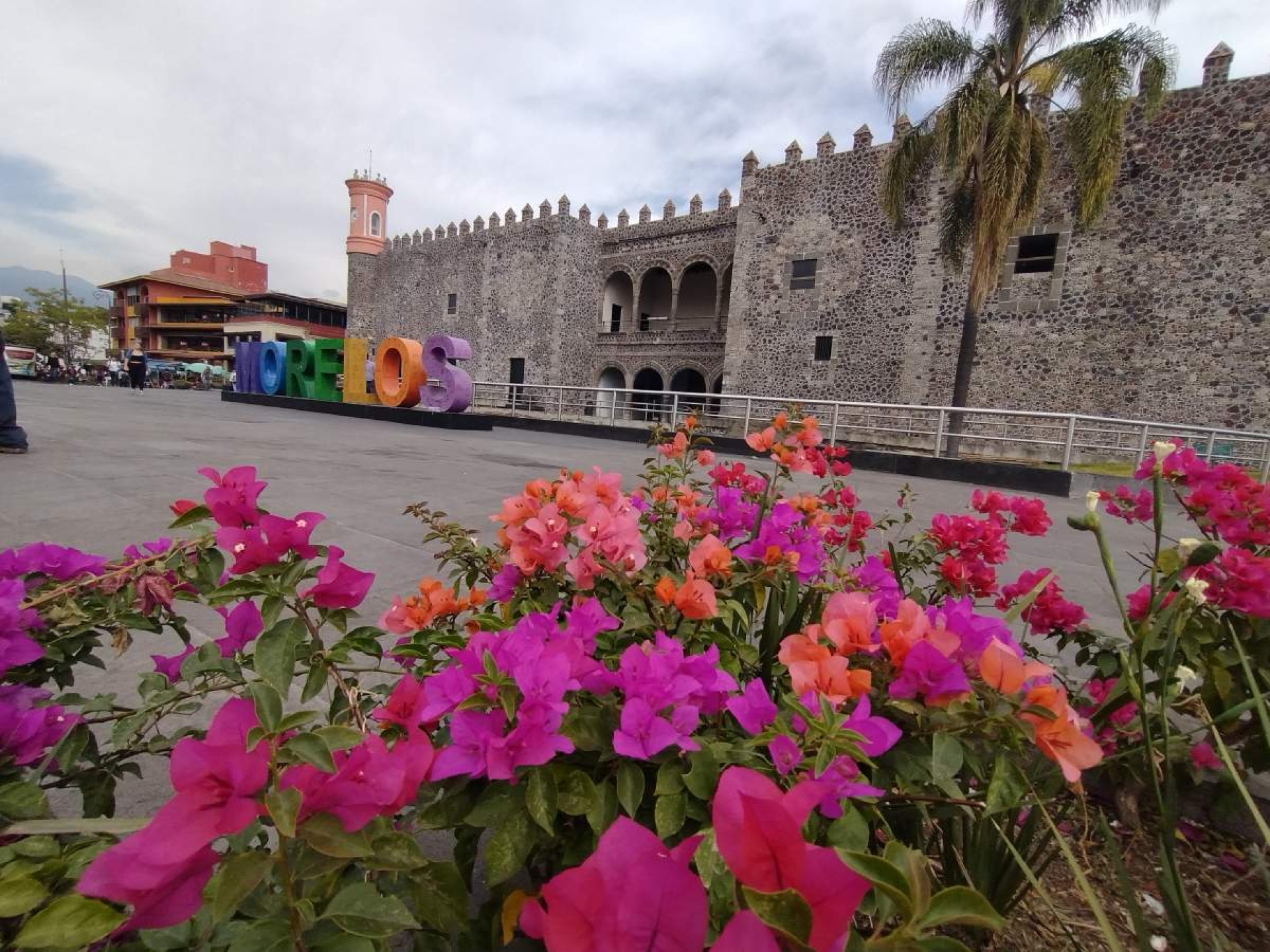 Reportan afluencia positiva de visitantes en fin de semana largo