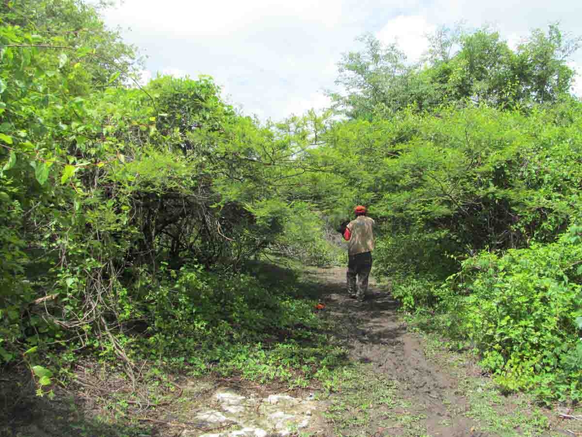 Buscan voluntarios para cuidar el cerro de la Tortuga