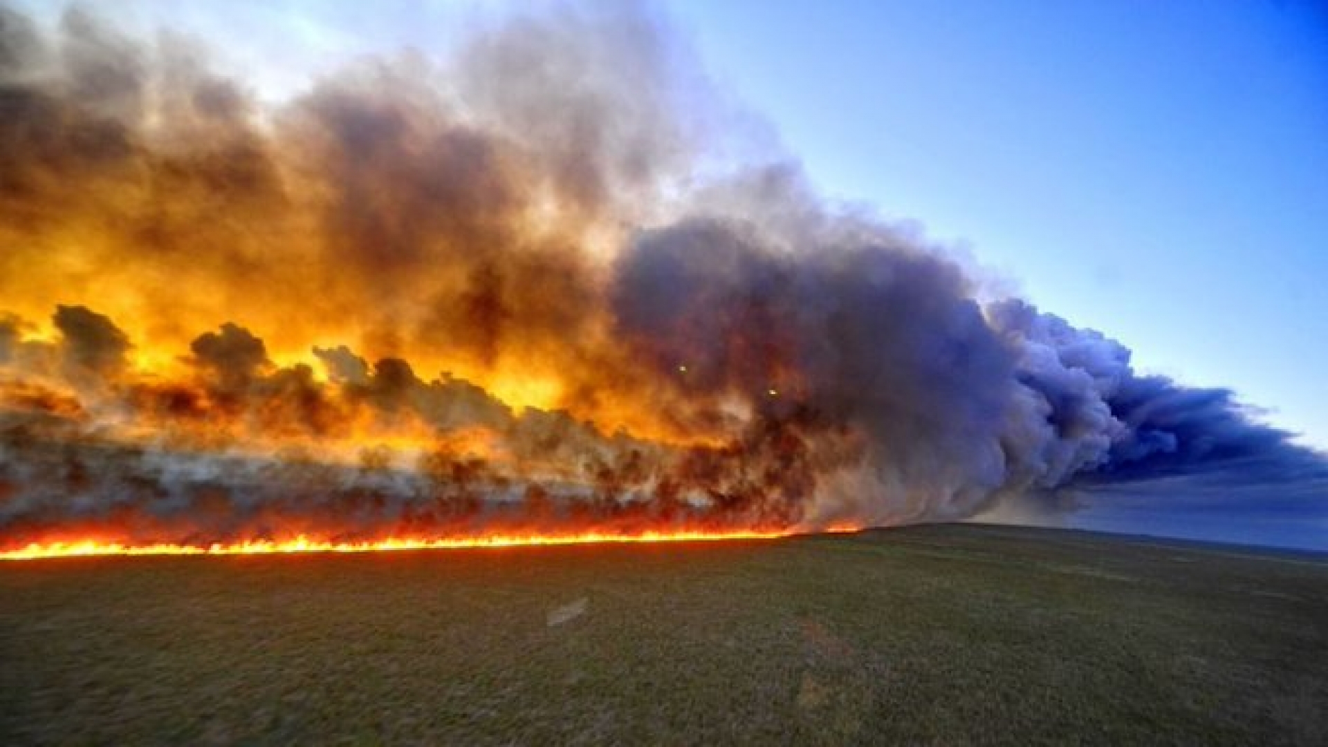 Incendios en el Amazonas: el número récord de fuegos que se registran en Brasil y otros países de Sudamérica