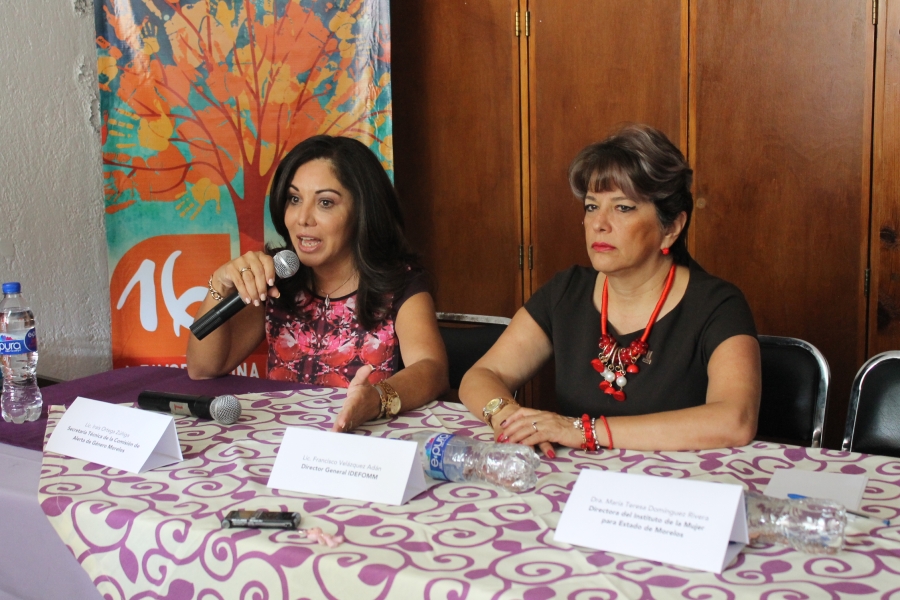 El Instituto de la Mujer minimiza el número de feminicidios
