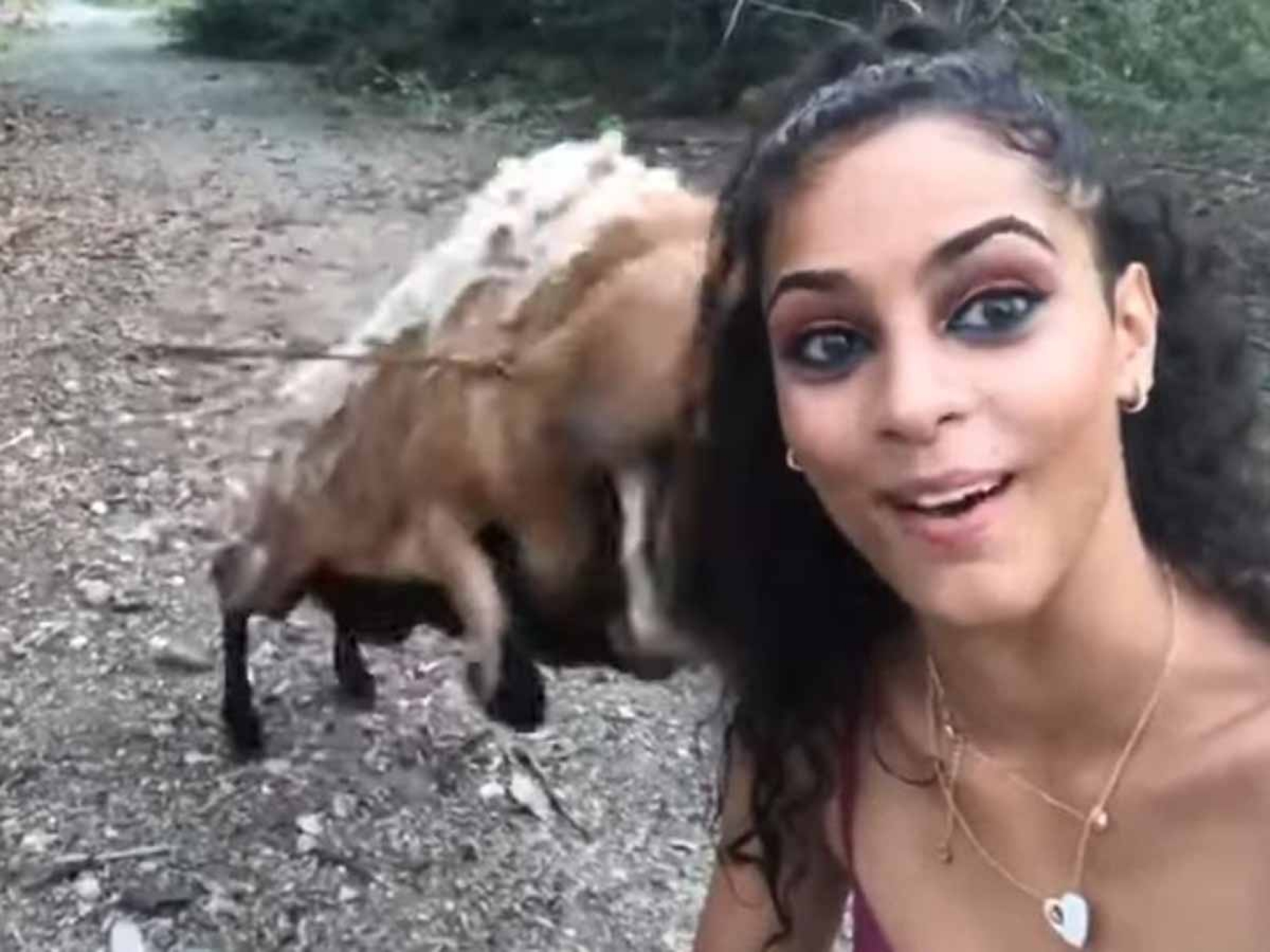 VIDEO: Intenta una selfie con una cabra y así le va