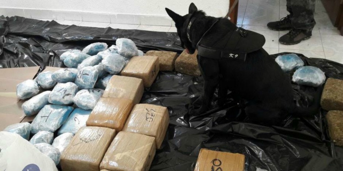 Asegura PGR armas en Cuernavaca