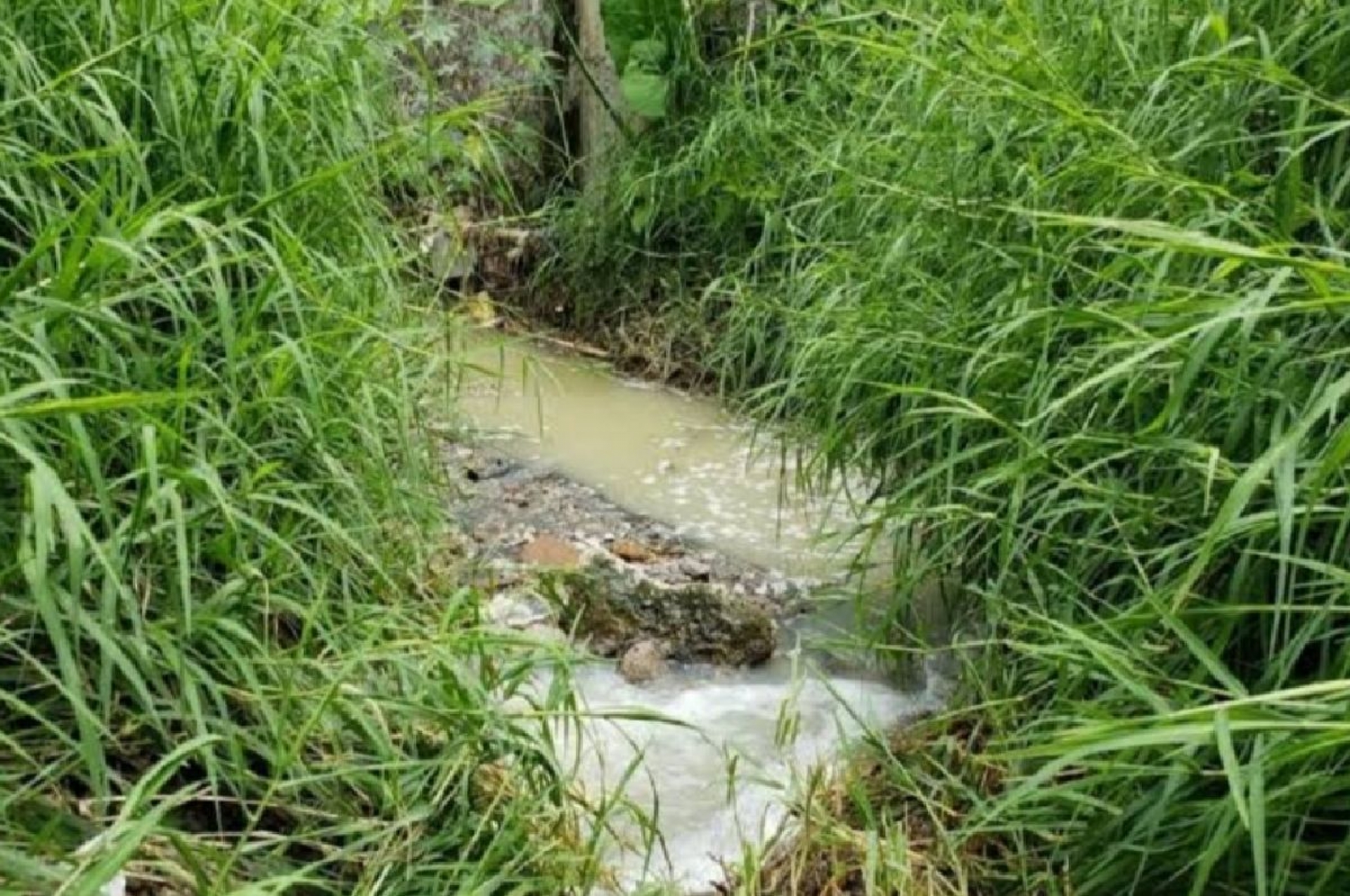 Gobierno ixtleco ignora a vecinos afectados por aguas negras de barranca