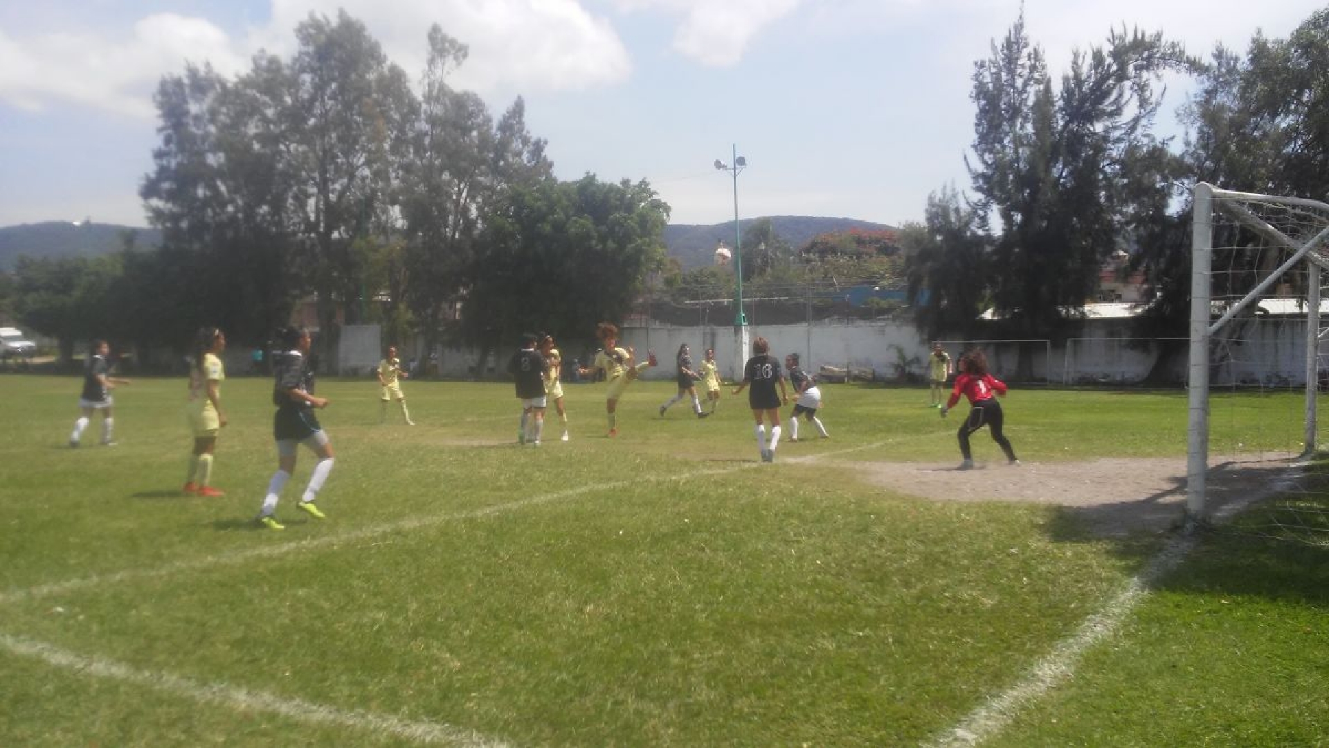 Pasan la prueba