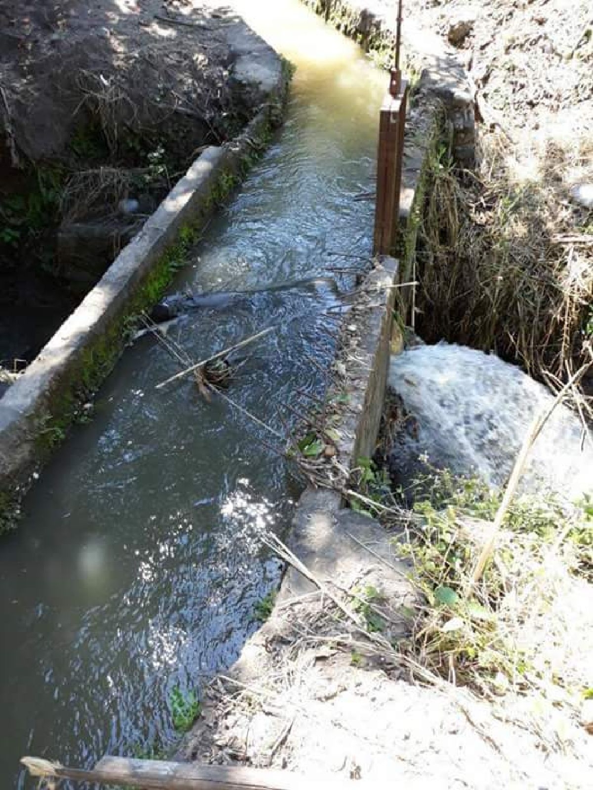 Hallan sin vida a un joven que estaba desaparecido, en Cocoyotla