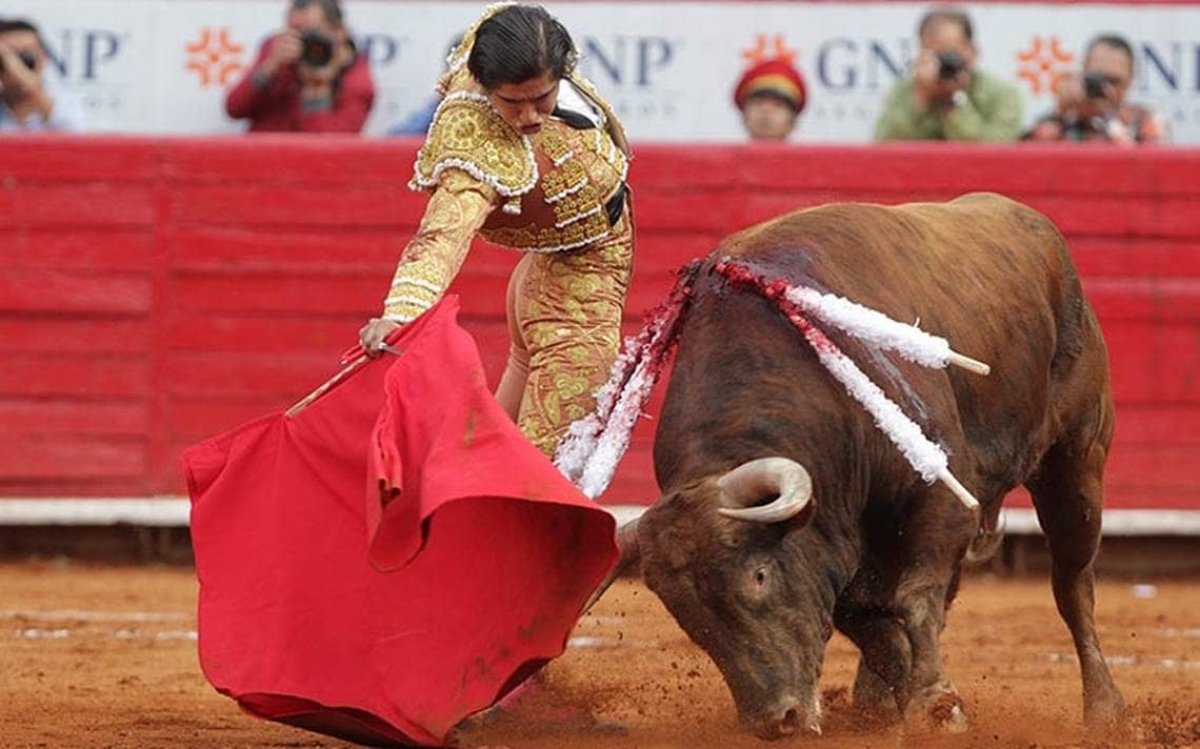 Aprueban prohibir las corridas de toros