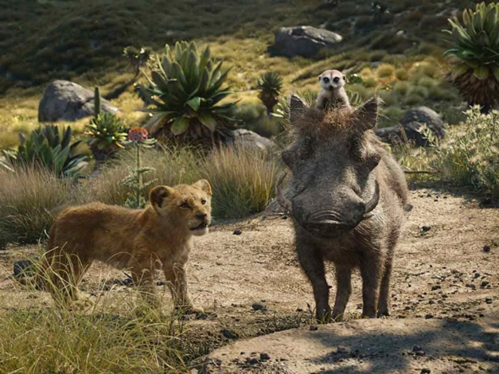 VIDEO: Lanzan adelanto de 'Hakuna Matata'