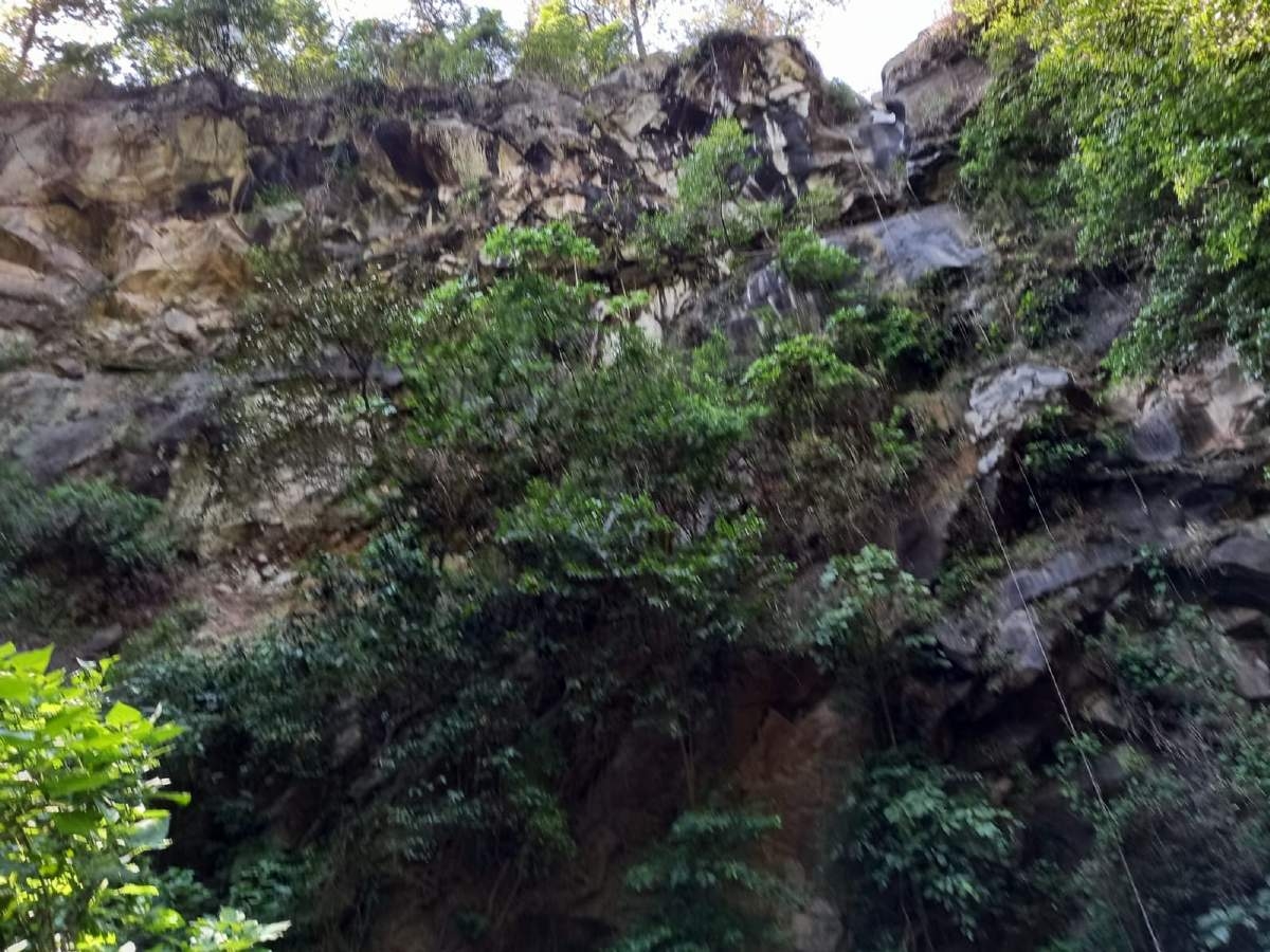 Las barrancas de Cuernavaca, en riesgo por incendios forestales